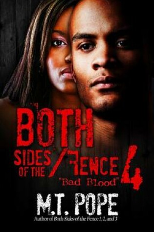 Cover of Both Sides of the Fence 4