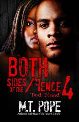 Book cover for Both Sides of the Fence 4