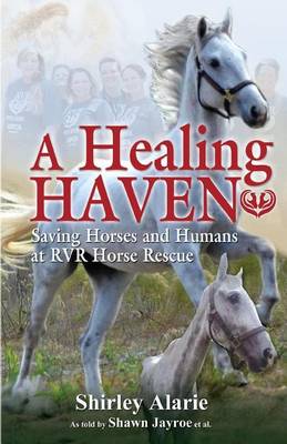 Book cover for A Healing Haven