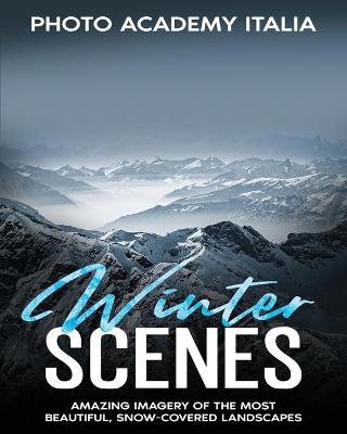 Book cover for Winter Scenes