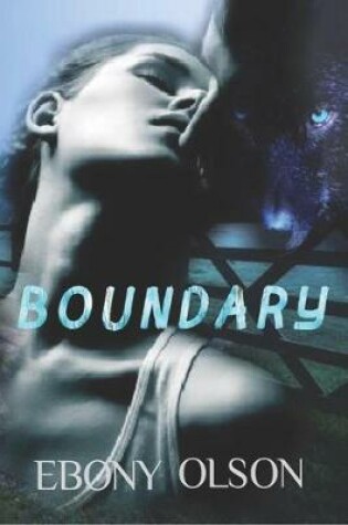Cover of Boundary