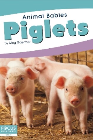 Cover of Animal Babies: Piglets