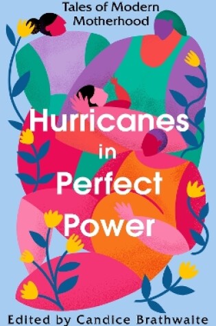 Cover of Hurricanes in Perfect Power