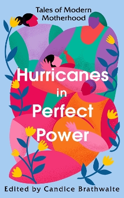 Book cover for Hurricanes in Perfect Power