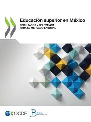 Book cover for Educación Superior En México Resultados Y Relevancia Para El Mercado Laboral