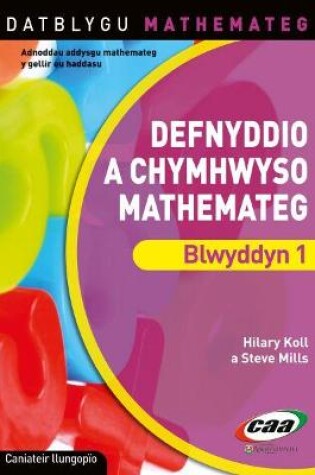 Cover of Datblygu Mathemateg: Defnyddio a Chymhwyso Mathemateg Blwyddyn 1