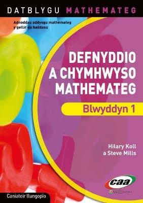 Book cover for Datblygu Mathemateg: Defnyddio a Chymhwyso Mathemateg Blwyddyn 1