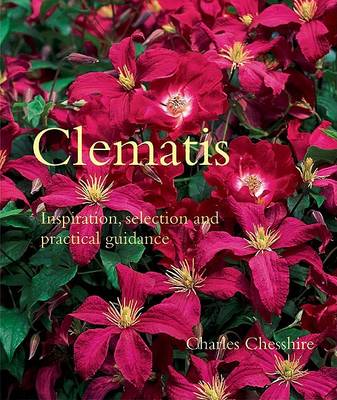 Cover of Clematis