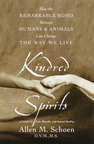 Book cover for Kindred Spirits