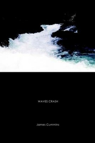 Cover of Waves Crash