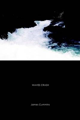 Book cover for Waves Crash