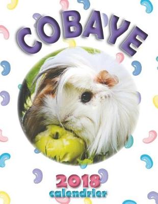 Book cover for Cobaye 2018 Calendrier (Edition France)