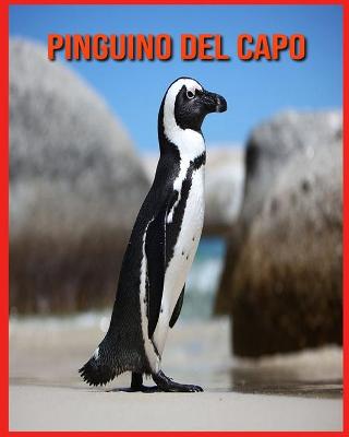 Book cover for Pinguino del Capo