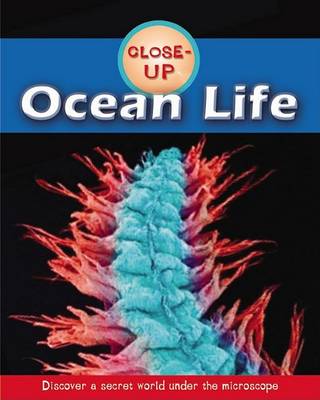 Book cover for Ocean Life