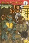 Book cover for Secret