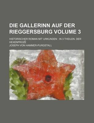 Book cover for Die Gallerinn Auf Der Rieggersburg Volume 3; Historischer Roman Mit Urkunden