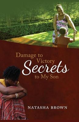 Book cover for Damage to Victory