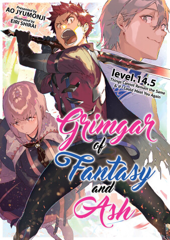Cover of Grimgar of Fantasy and Ash (Light Novel) Vol. 14.5
