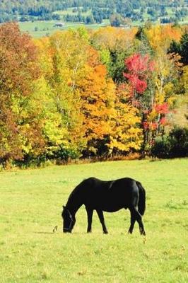 Book cover for Journal Grazing Black Horses In Autumn Equine