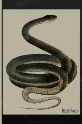 Cover of Snake