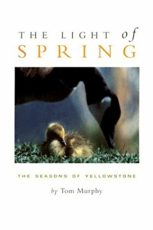 Cover of The Light of Spring
