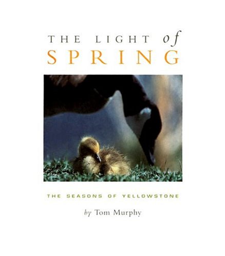 Book cover for The Light of Spring