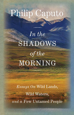 Book cover for In the Shadows of the Morning