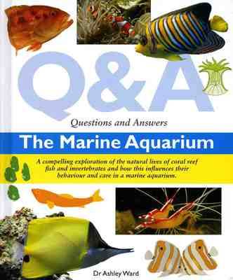 Book cover for Questions and Answers the Marine Aquarium
