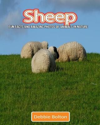 Book cover for Sheep