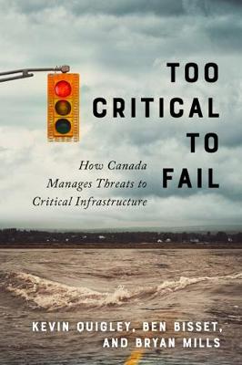 Book cover for Too Critical to Fail