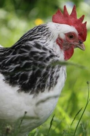 Cover of Light Sussex Hen Barnyard Animal Journal