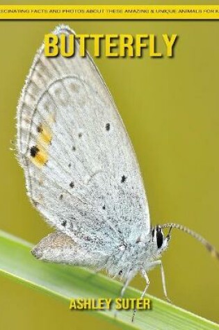 Cover of Butterfly