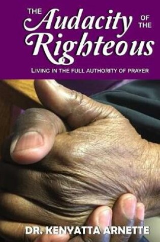 Cover of The Audacity of the Righteous
