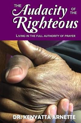 Book cover for The Audacity of the Righteous