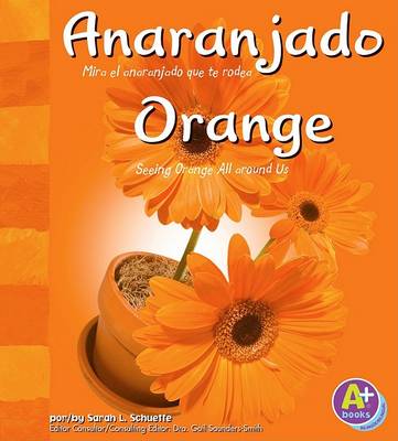 Book cover for Anaranjado/Orange