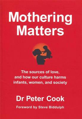 Book cover for Mothering Matters