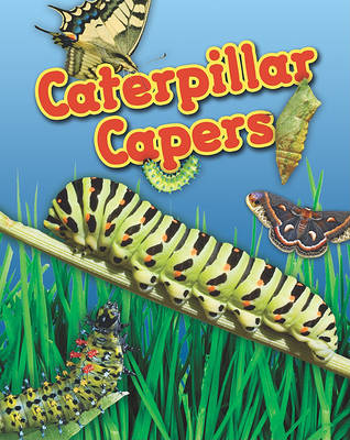 Book cover for Caterpillar Capers