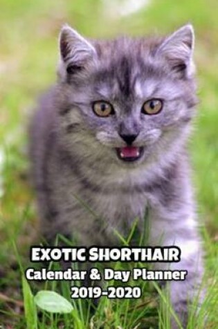 Cover of Exotic Shorthair Calendar & Day Planner 2019-2020