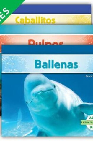 Cover of La Vida En El Océano (Ocean Life) (Spanish Version) (Set)