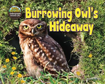 Book cover for Burrowing Owl's Hideaway