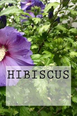 Cover of Hibiscus