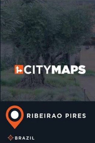 Cover of City Maps Ribeirao Pires Brazil