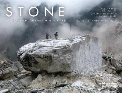 Book cover for Stone