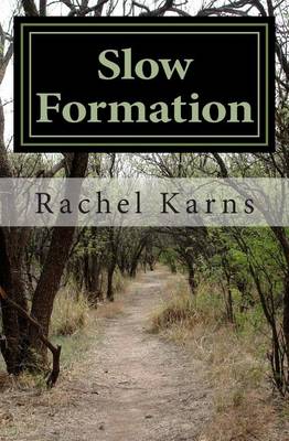 Book cover for Slow Formation