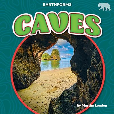 Book cover for Caves