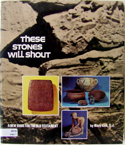 Book cover for These Stones Will Shout