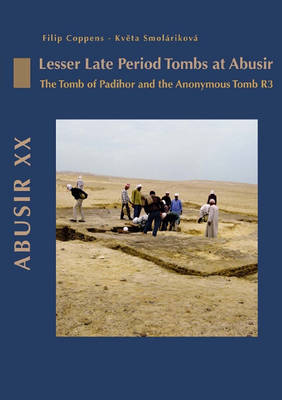 Book cover for Abusir XX