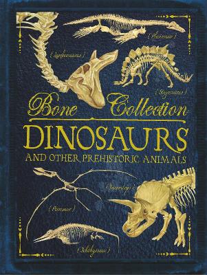 Book cover for Bone Collections: Dinosaurs
