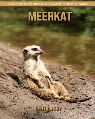 Book cover for Meerkat