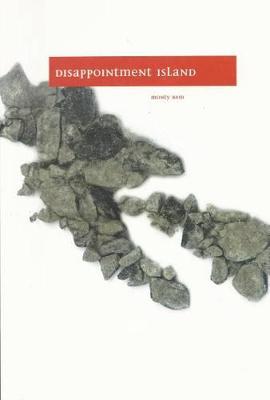 Book cover for Disappointment Island